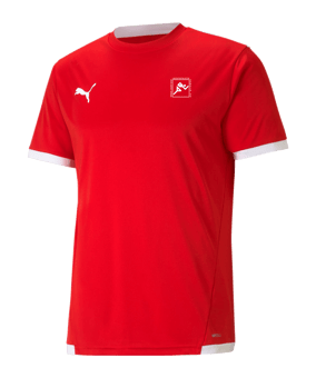 PUMA teamLIGA Trikot Rot F01