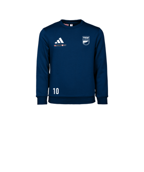 adidas Entrada 26 Sweatshirt Kids Blau