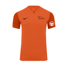 Nike Trophy V Trikot Orange F819