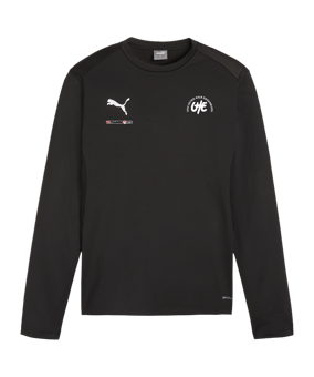 PUMA teamGOAL Training Sweatshirt Schwarz F03