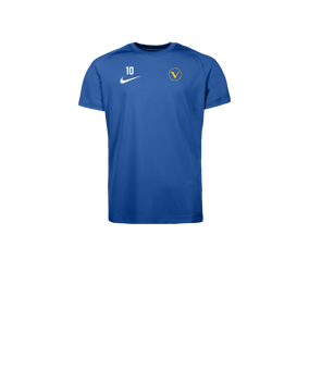 Nike Park VIII Trikot Kids Blau F463