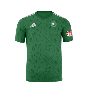 adidas Team Icon 25 Trikot Grün