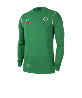 Nike Park 20 Sweatshirt Grün Weiss F302