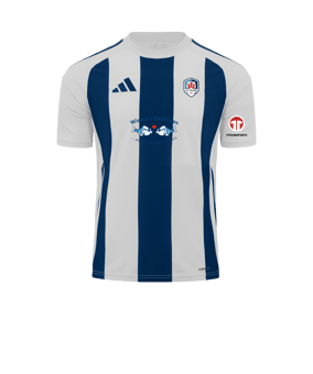 adidas Trikot Blau