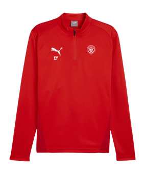 PUMA teamGOAL Training 1/4 Zip Sweatshirt Rot F01