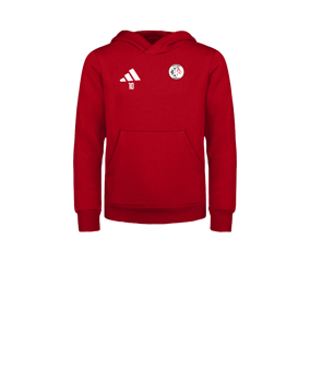 adidas Entrada 26 Sweatshirt à capuche Enfants Rouge