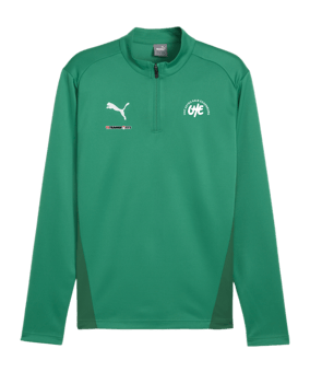 PUMA teamGOAL Training 1/4 Zip Sweatshirt Grün F05
