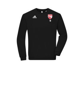 Sweatshirt enfant adidas Entrada 22 Noir 