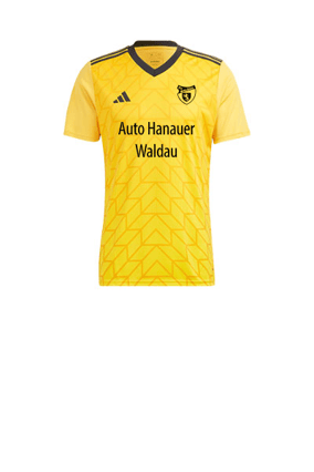 adidas Team Icon 23 Trikot Gold
