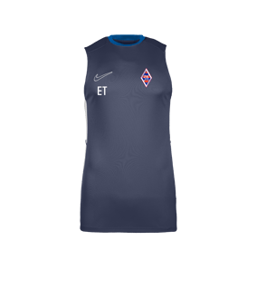 Nike Academy 25 Tanktop Blau F410
