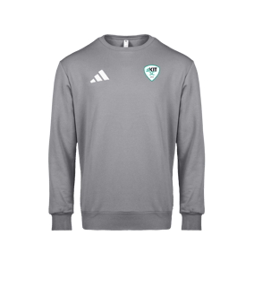 adidas Entrada 26 Sweatshirt Grau