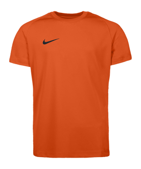 Nike Park VIII Trikot Kids Orange F819 - orange