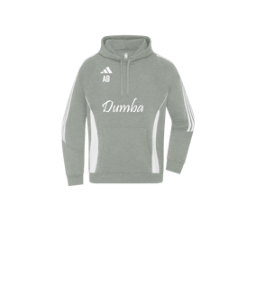 adidas Tiro 24 Hoody Kids Grau Weiss