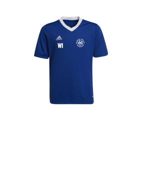 adidas Entrada 22 Trikot Kids Blau Weiss