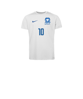 Nike Park VIII Trikot Kids Weiß F104
