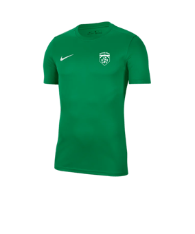 Nike Park VII Trikot kurzarm Grün F302
