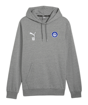 PUMA teamGOAL Casuals Hoody Grau F33