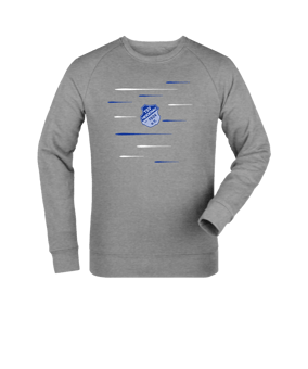 Merch Roller Sweatshirt Heather Grey FC250