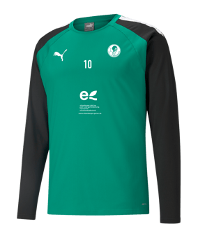 PUMA teamLIGA Trainig Sweatshirt Grün Schwarz F05