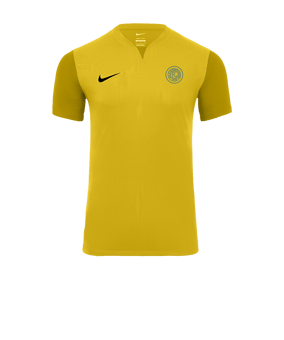 Nike Trophy V Trikot Gelb F719