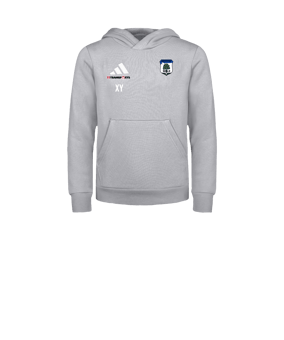 adidas Entrada 26 Hoody Kids Grau