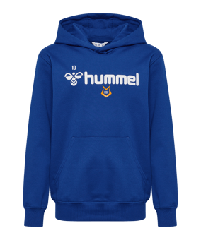 Hummel GO 2.0 logo Sweat à capuche enfants  bleu F7026