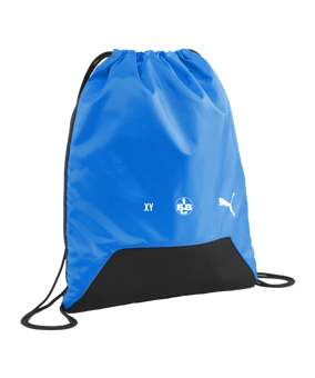 PUMA teamGoal Gym Bag Blau F02