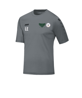 JAKO Team Trikot kurzarm Grau F40