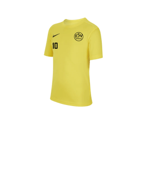 Nike Park VII Trikot kurzarm Kids Gelb F719