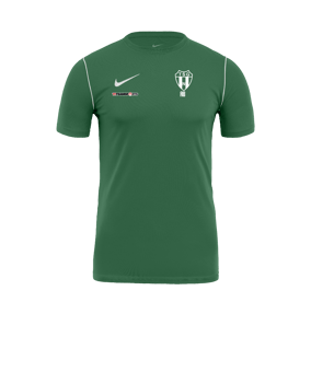 Nike Park 20 Training Shirt Grün F302