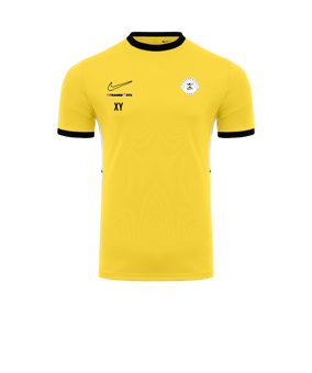Nike Academy 25 Trainingsshirt Gelb F719