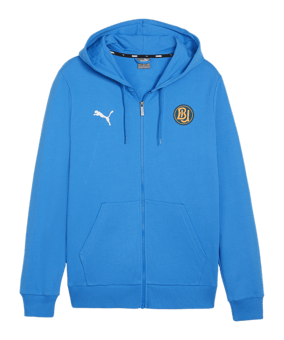 PUMA teamGOAL Casuals Kapuzenjacke Blau F02