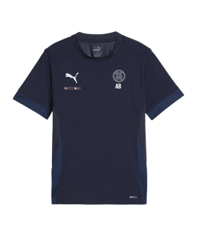 PUMA teamGOAL Matchday Trikot Kids Blau Weiss F06