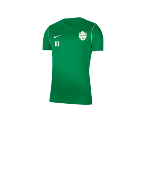 Nike Park 20 T-Shirt Kids Grün F302