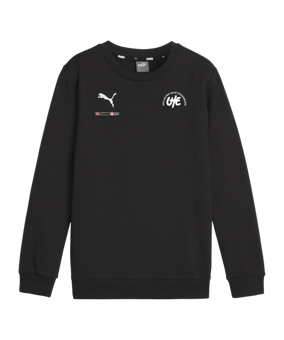 PUMA teamGOAL Casuals Sweatshirt Kids Schwarz F03