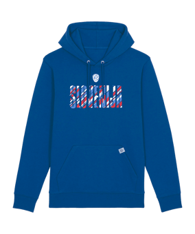 Nike NZSx11TS Slowenien Hoody EM 2024 F463 - blau