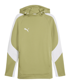 PUMA teamEvostripe Hoody Grün F40 - gruen