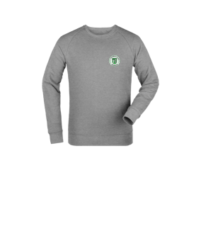 Merch Mini Changer 2.0 Sweatshirt Kids Heather Grey | #logo4c