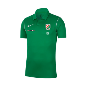 Nike Park 20 Poloshirt Grün F302