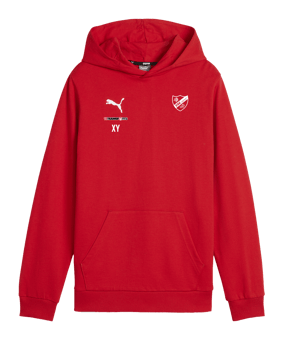 PUMA teamGOAL Casuals Hoody Kids Rot F01