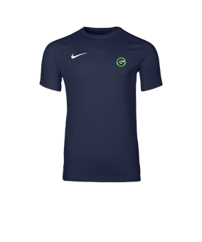 Nike Park VIII Trikot Blau F410