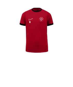 Nike Academy 25 Trainingsshirt Kids Rot F657