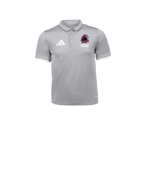 adidas Entrada 26 Polo Kids Grau
