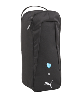 PUMA teamGoal Schuhtasche Schwarz F01