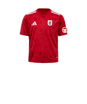 adidas Team Icon 25 Trikot Kids Rot