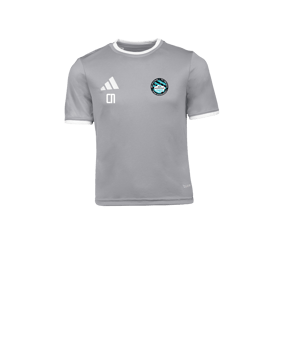 adidas Entrada 26 Trikot Kids Grau