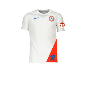 Nike Park VII Trikot Kids Weiss Blau F102