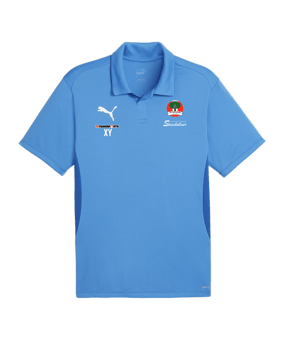 PUMA teamGOAL Poloshirt Blau F02