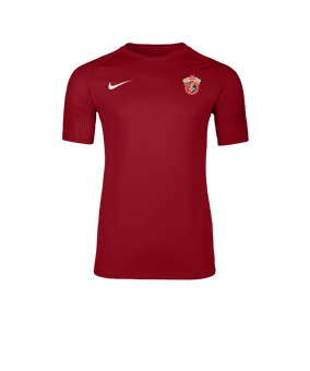 Nike Academy II Trikot Rot F657