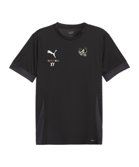 PUMA teamGOAL Matchday Trikot Schwarz Weiss F03